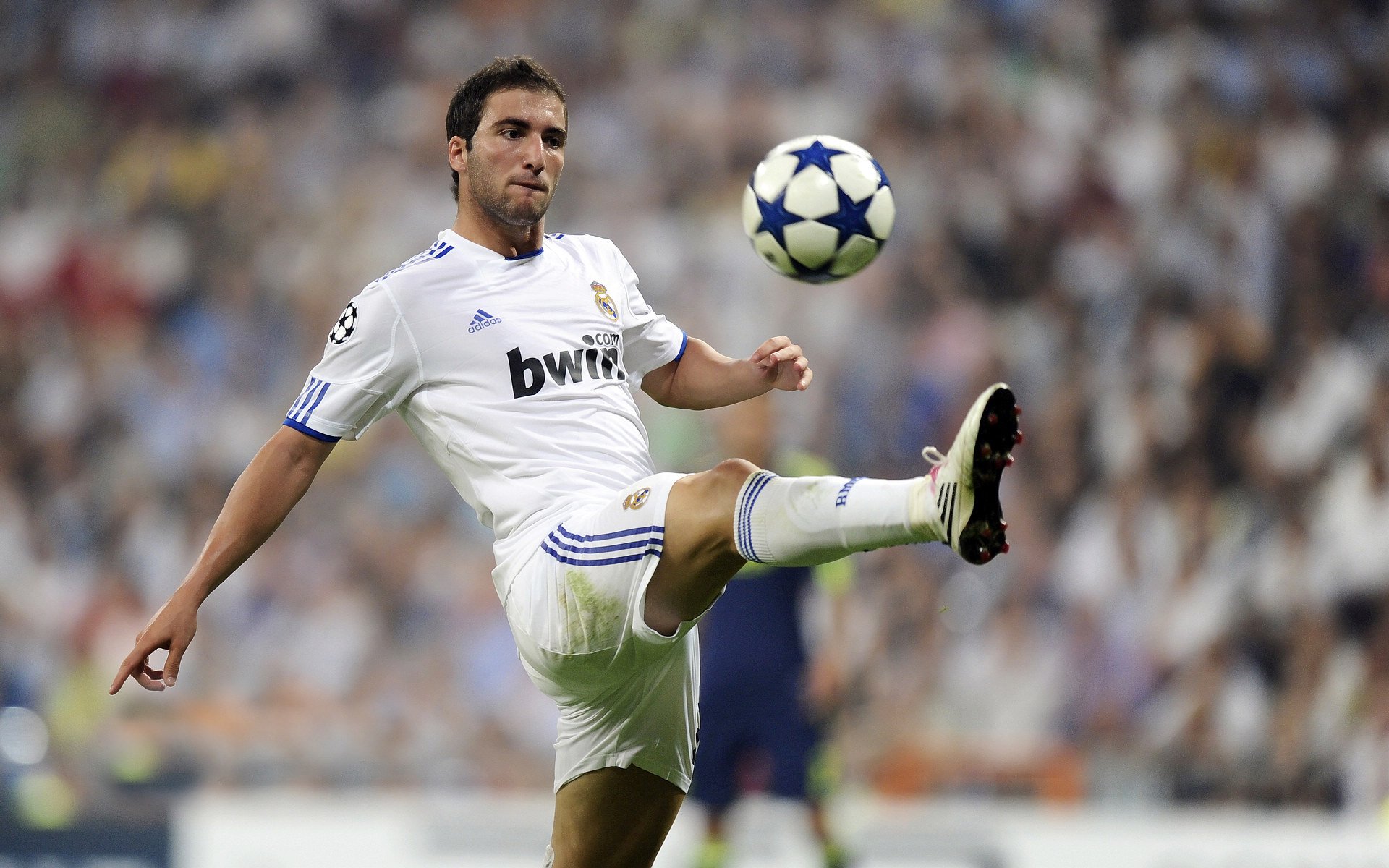 美澳蝶泳收官冲刺惊艳全场，超美的蝶泳